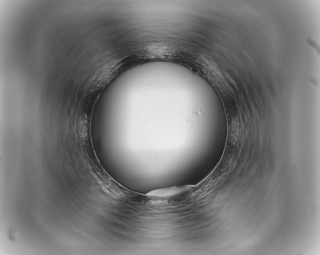 X0000098090413200804181241