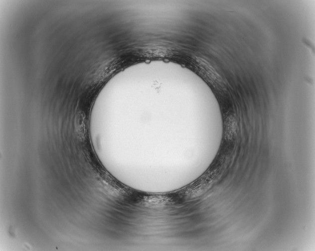 X0000098090414200804181241
