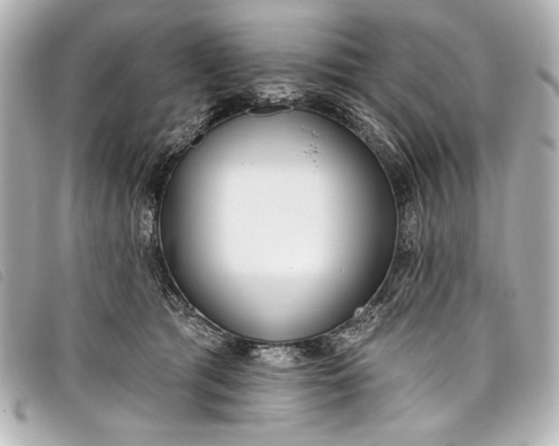 X0000098090417200804181241