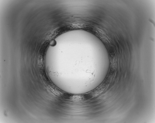 X0000098090418200804181241