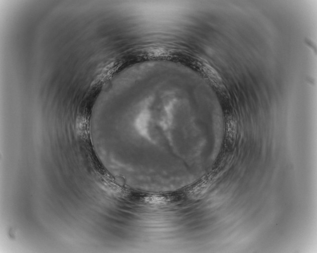 X0000098090419200804181241