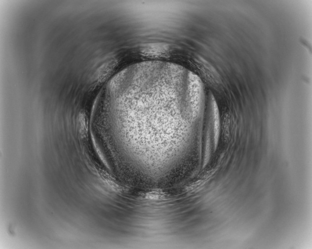 X0000098090420200804181241