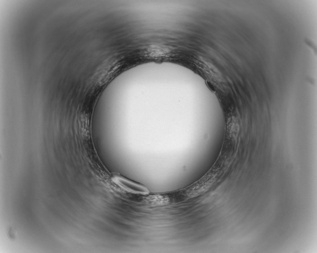 X0000098090421200804181241