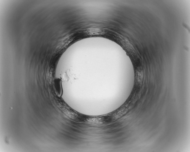 X0000098090422200804181241