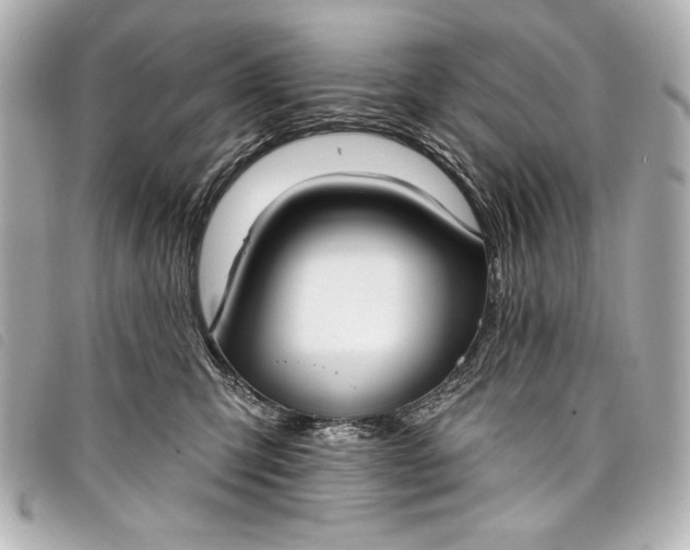 X0000098090423200804181241