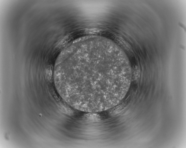 X0000098090427200804181241