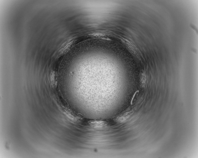 X0000098090428200804181241
