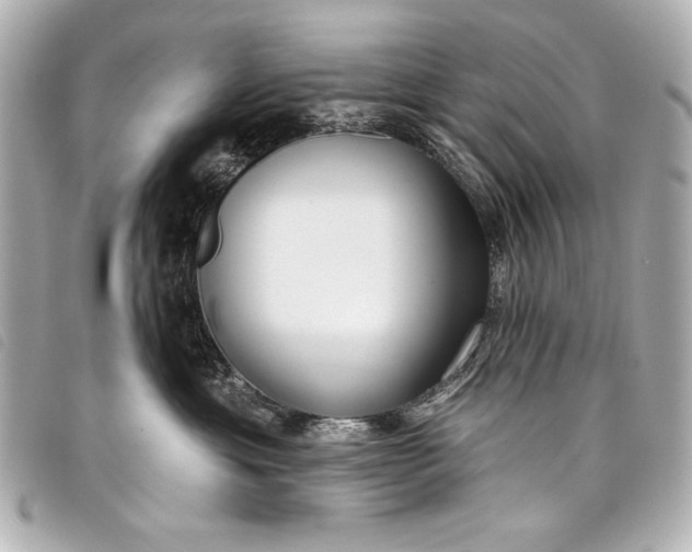 X0000098090429200804181241