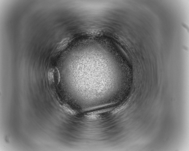 X0000098090432200804181240