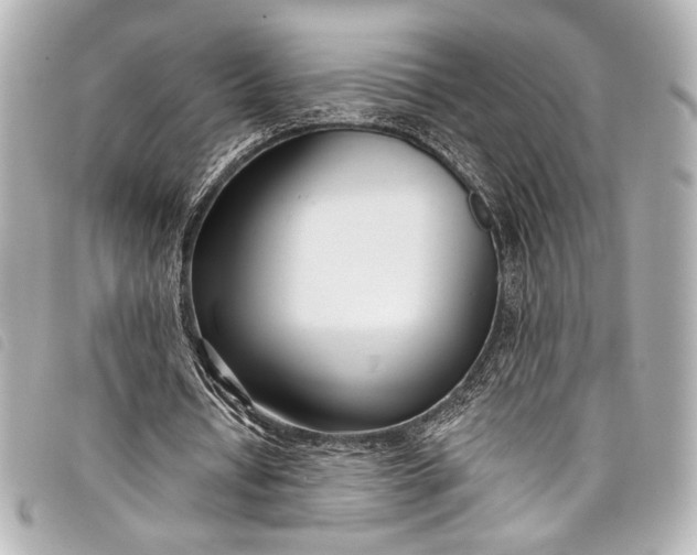 X0000098090434200804181240
