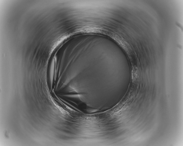 X0000098090438200804181240