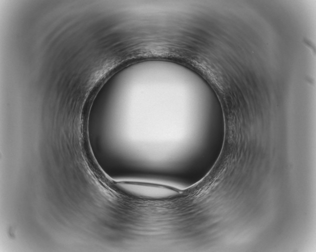 X0000098090439200804181240