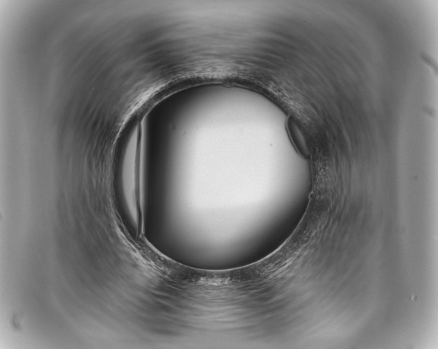X0000098090440200804181240
