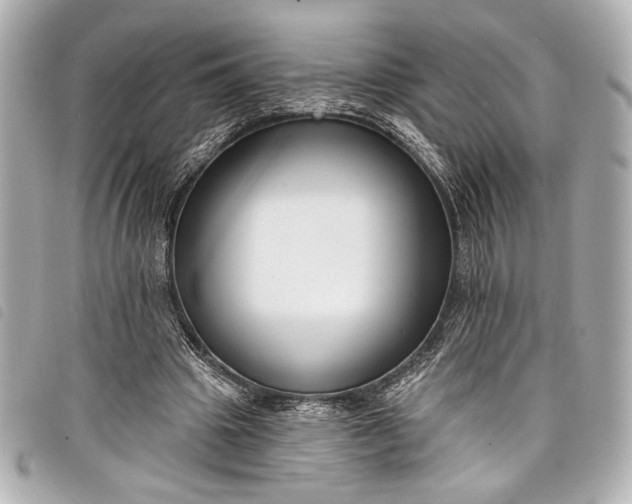 X0000098090441200804181240