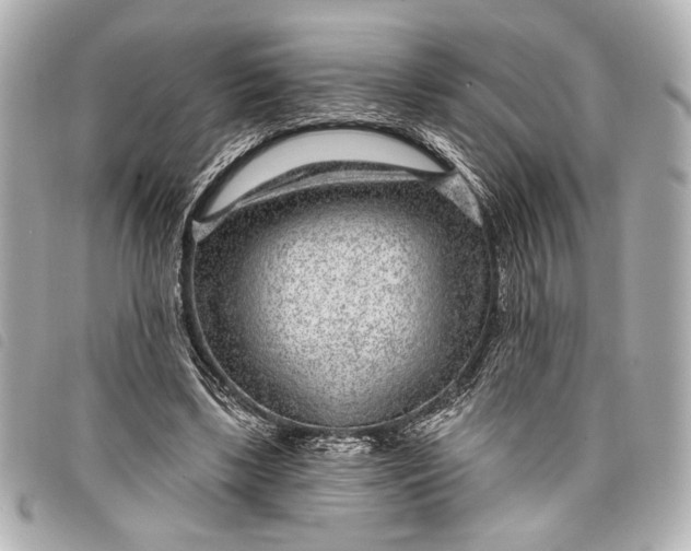 X0000098090443200804181240