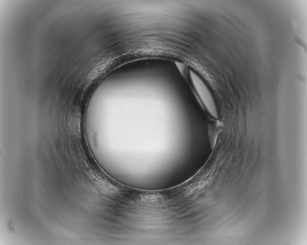 X0000098090446200804181240