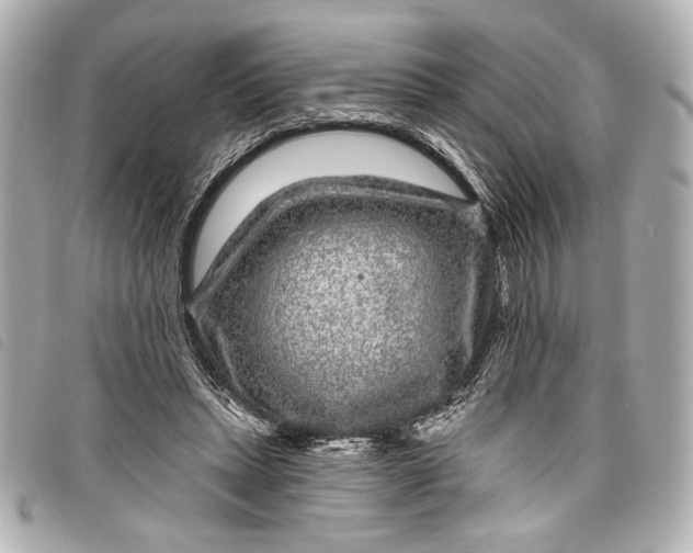 X0000098090447200804181240