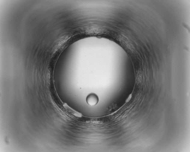 X0000098090448200804181240