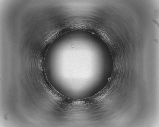 X0000098090450200804181240