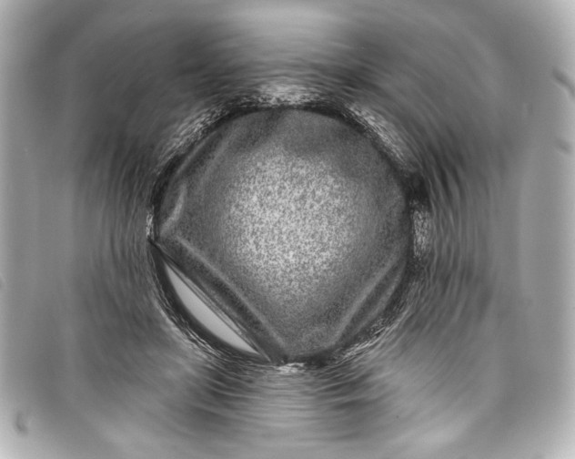 X0000098090451200804181240