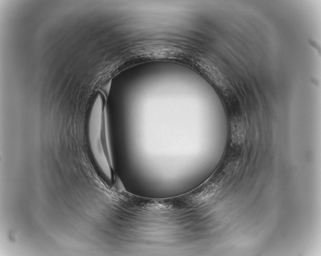 X0000098090453200804181240