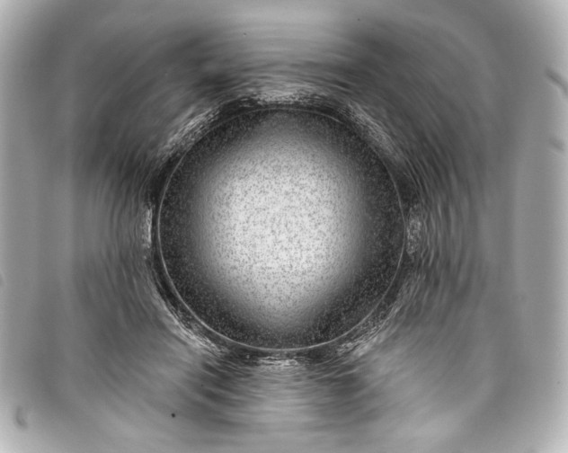 X0000098090454200804181240