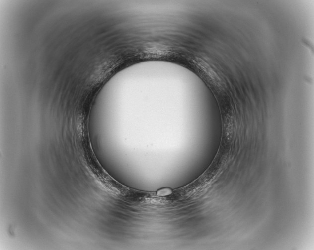 X0000098090455200804181240
