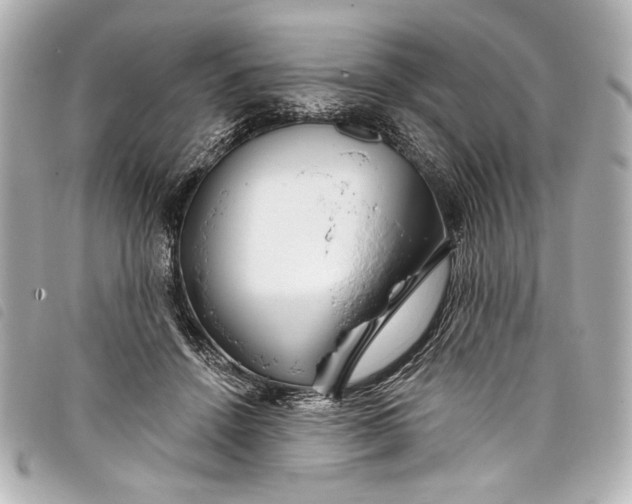 X0000098090456200804181240