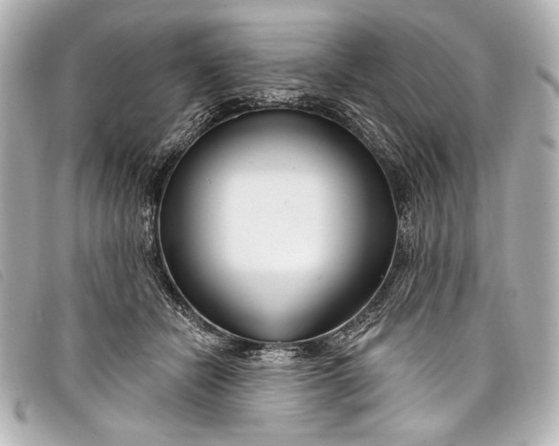 X0000098090462200804181240