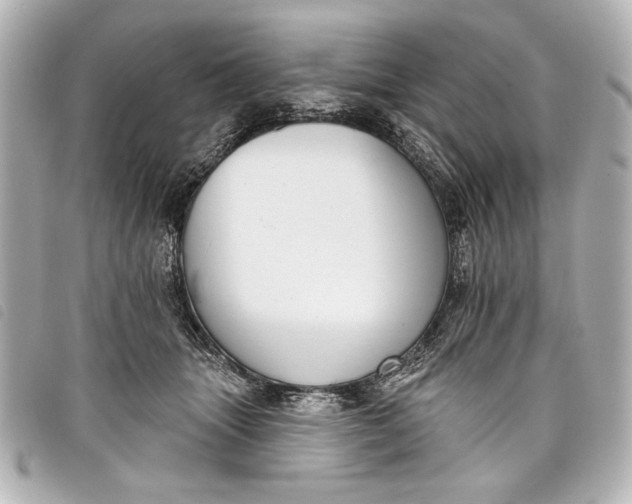 X0000098090463200804181240