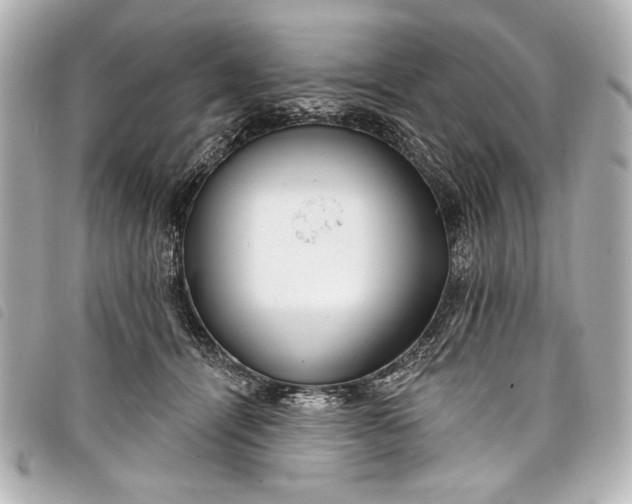 X0000098090464200804181240