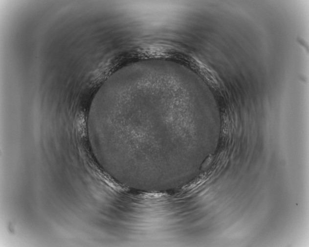 X0000098090465200804181240