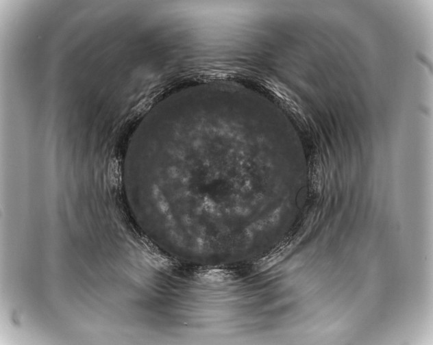X0000098090467200804181240