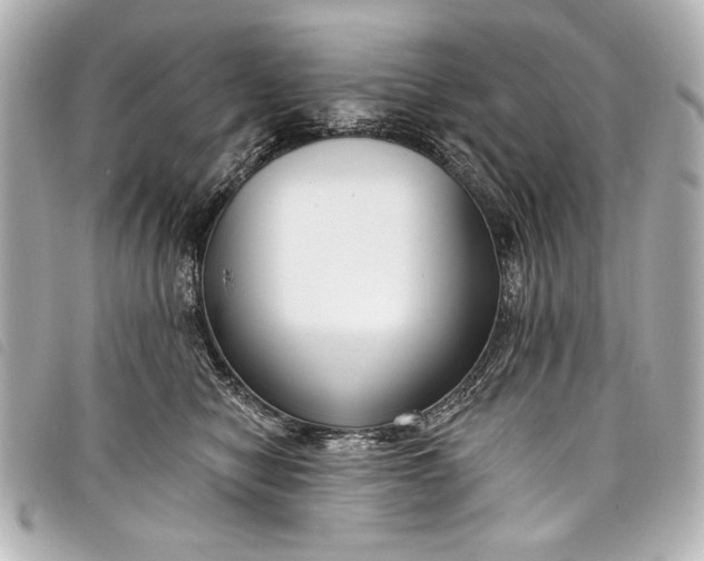 X0000098090470200804181240