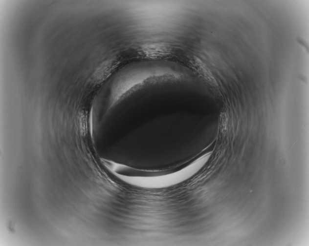 X0000098090471200804181240
