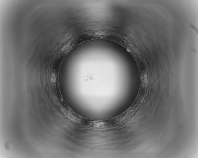 X0000098090472200804181240