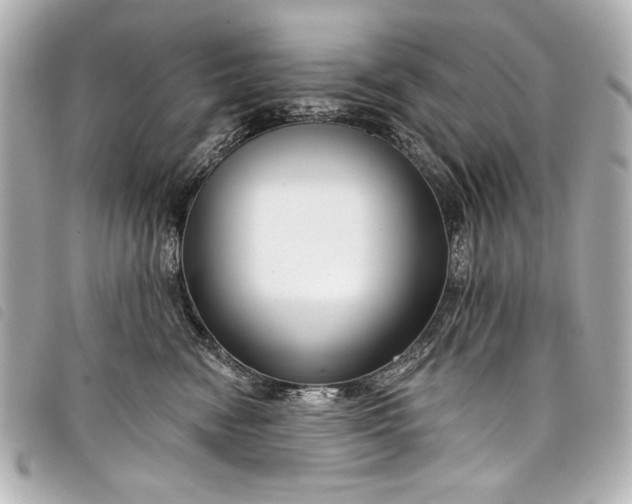 X0000098090474200804181240