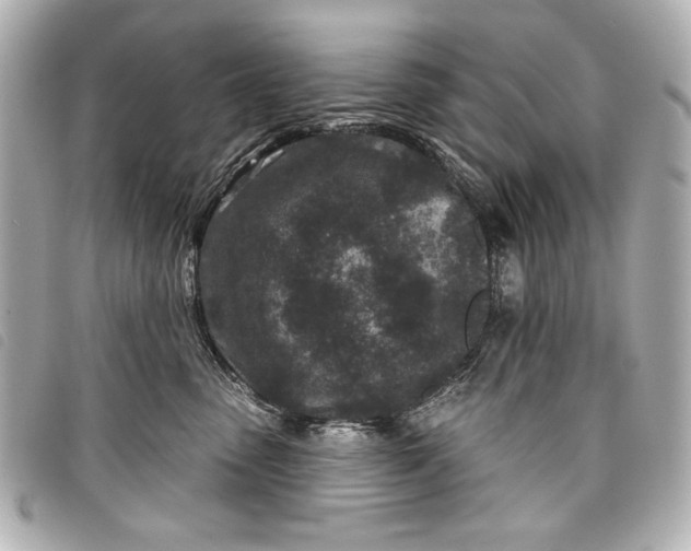 X0000098090475200804181240
