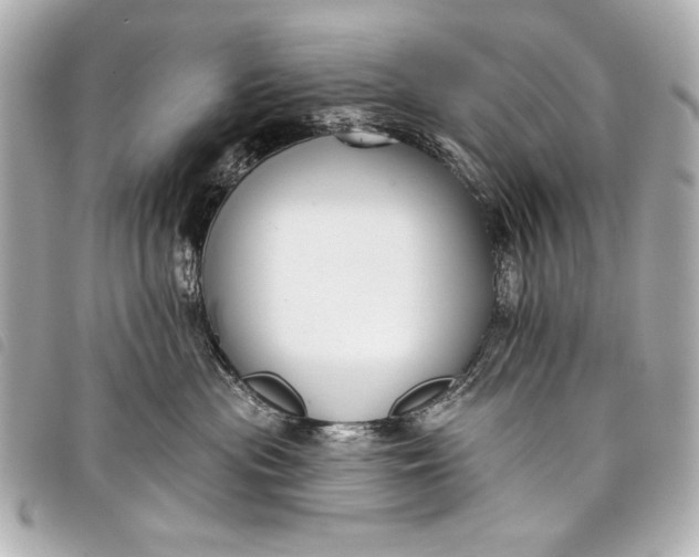 X0000098090477200804181240