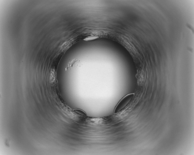 X0000098090478200804181240