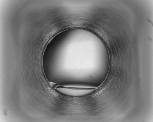X0000098090481200804181240