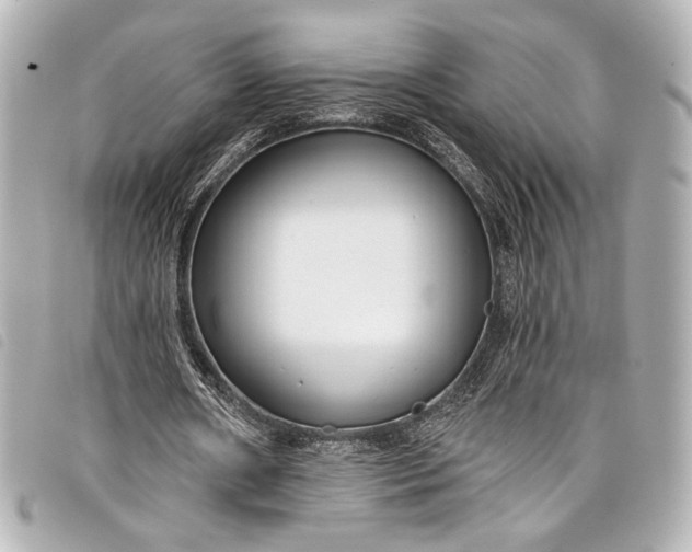 X0000098090482200804181240