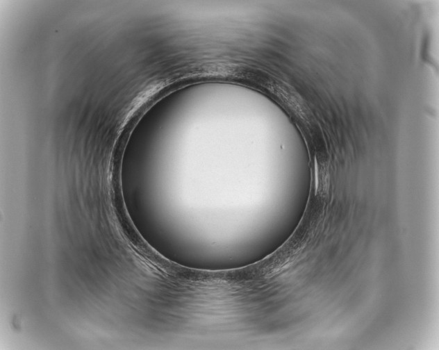 X0000098090483200804181240