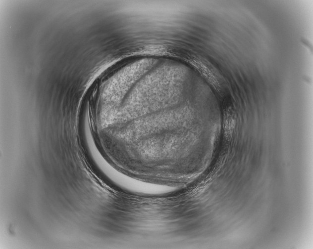 X0000098090484200804181240