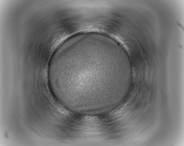 X0000098090487200804181240