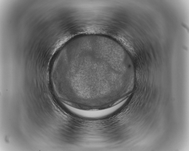 X0000098090488200804181240