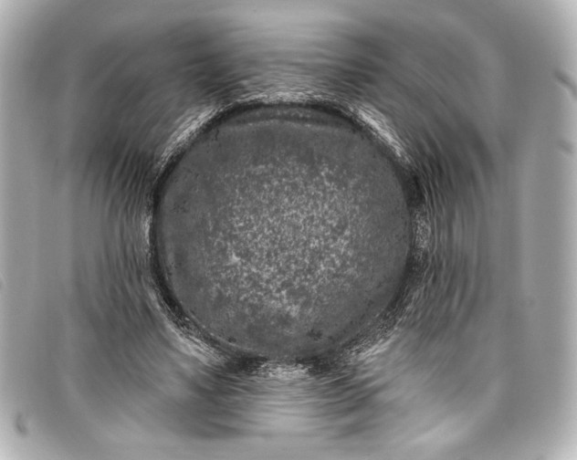 X0000098090491200804181239