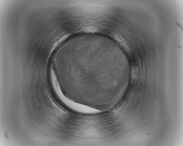 X0000098090492200804181239