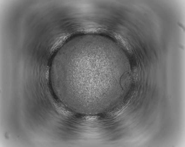 X0000098090495200804181239
