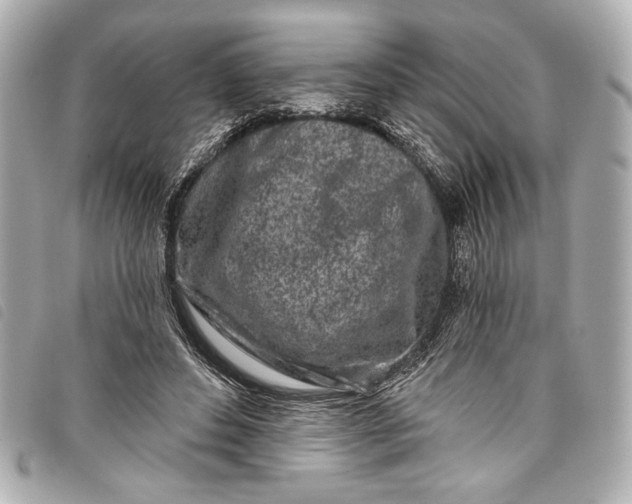 X0000098090496200804181239